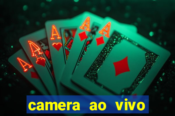 camera ao vivo terminal vila nova cachoeirinha